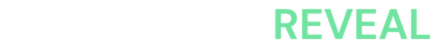 Networth Reveal